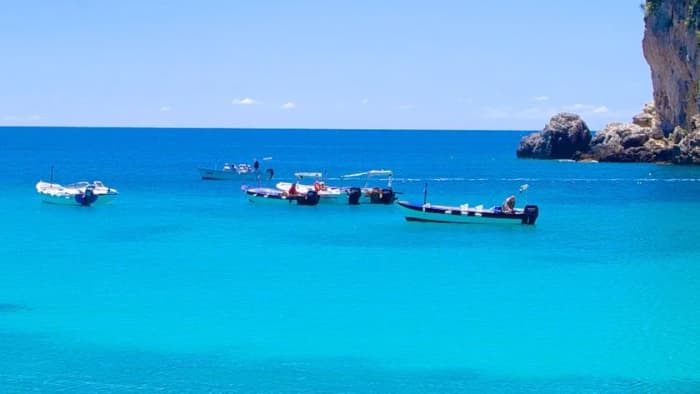 Hidden Beaches & Coves – Half-Day West Coast Escape