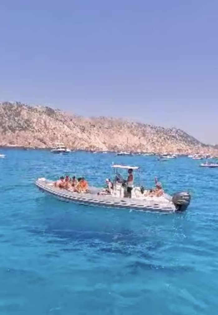 Delfin-Sonnenuntergangstour: Aperitif und Schnorcheln vor der Insel Figarolo