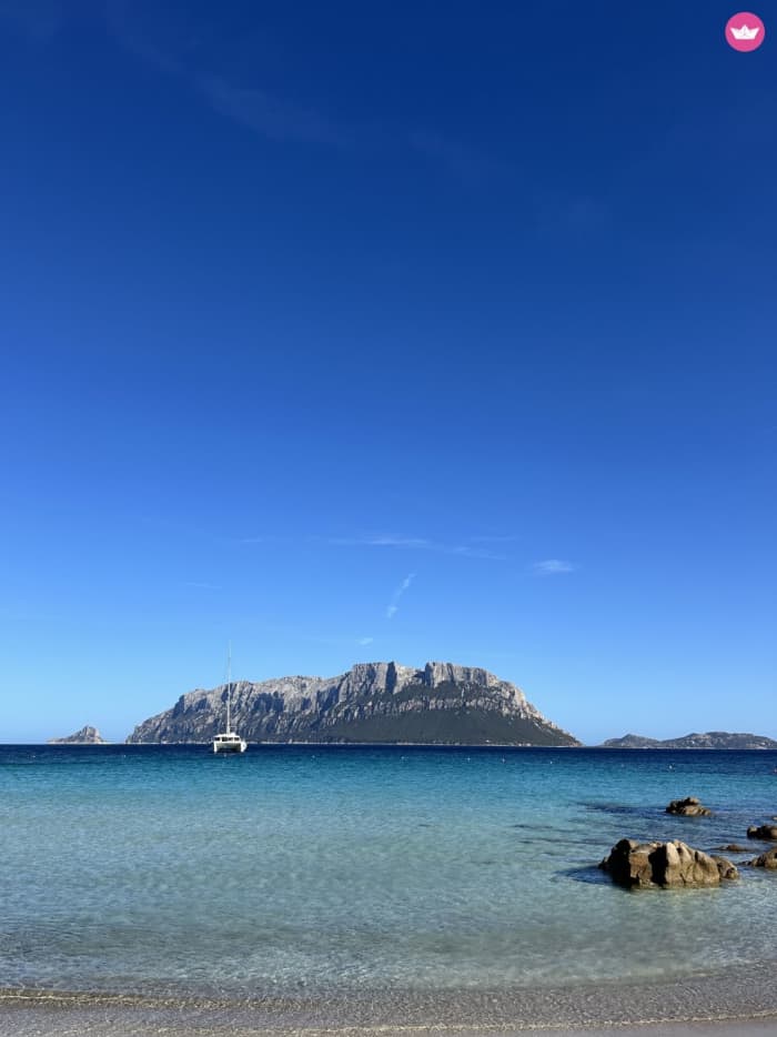 Delfin-Sonnenuntergangstour: Aperitif und Schnorcheln vor der Insel Figarolo