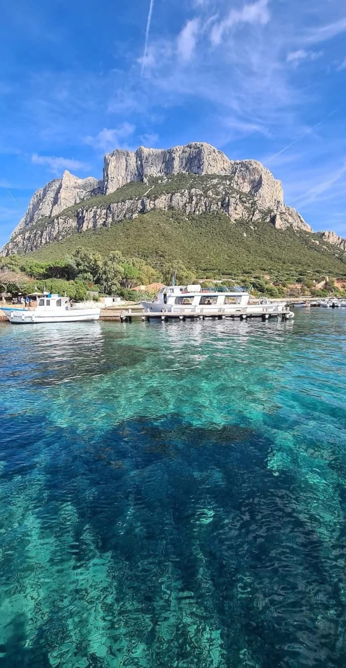 Stor rundtur från Olbia till Tavolara och Molara skärgård, snorkling och en sardisk aperitif