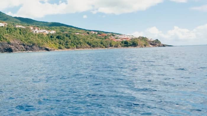 Grand Cul-de-Sac Marin de barco – Lagoa, ilhotas e mergulho com snorkel