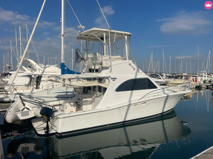 Half Day Charter