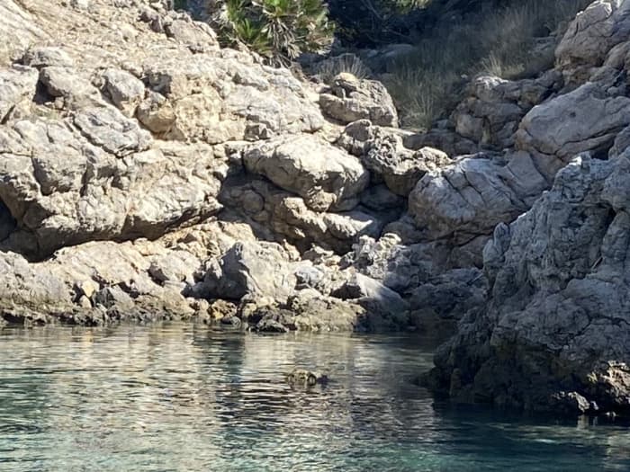Mallorca: Alcudia: Privéboottocht met snorkelen (2,5 uur)