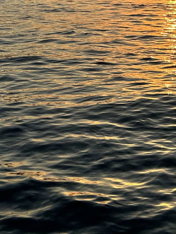 Elba al atardecer – Tour Serale
