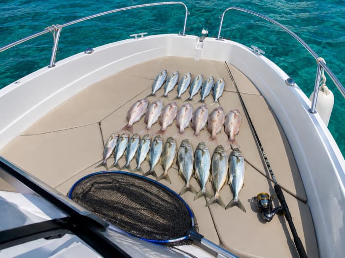 A day at sea with a captain