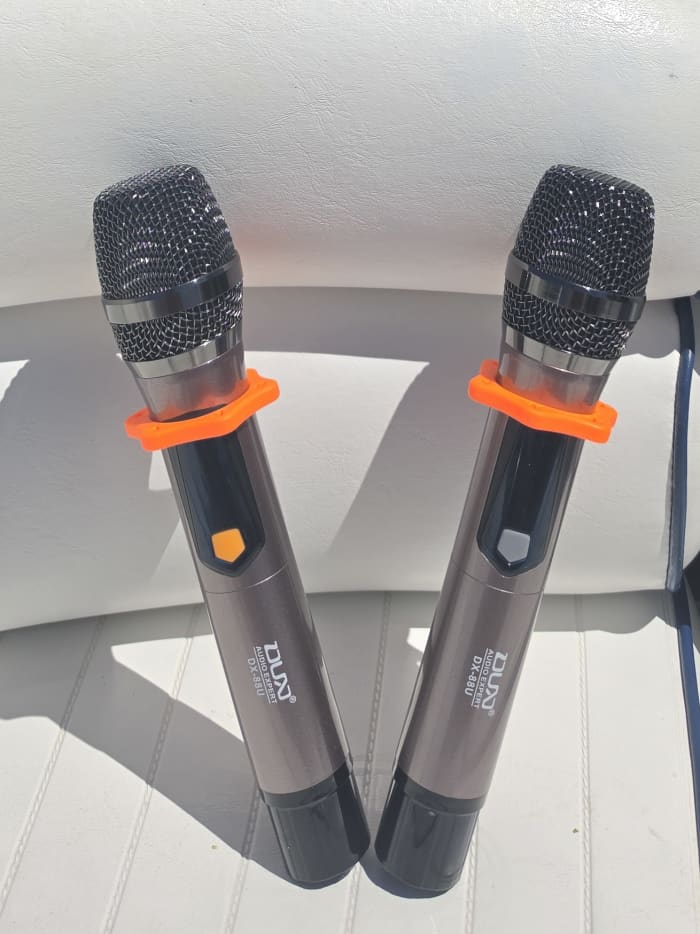 Karaoke at Sea: Sing & Swim Experience