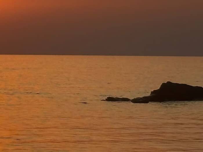 Vier uur durende ochtendtocht op zee vanuit Fornells: peddelen, snorkelen en lokale specialiteiten proeven
(BRANDSTOF INBEGREPEN)
€20 extra per passagier vanaf de zesde passagier.
