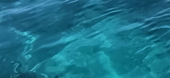 Alla scoperta delle Isole Lérins