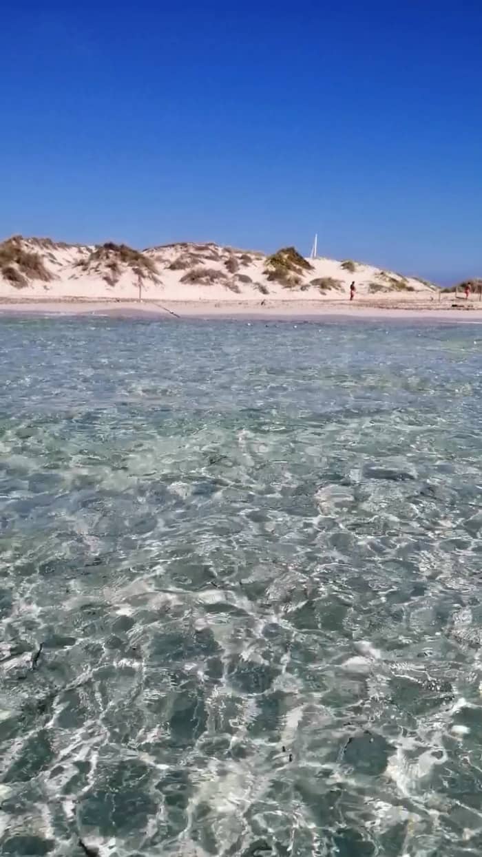 4-hour tour: From Santa Eularia, sail along the coast to Tagomago