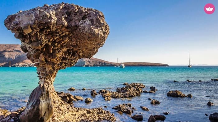 La Paz Bay – 2–3 uur durende privécruise bij zonsondergang