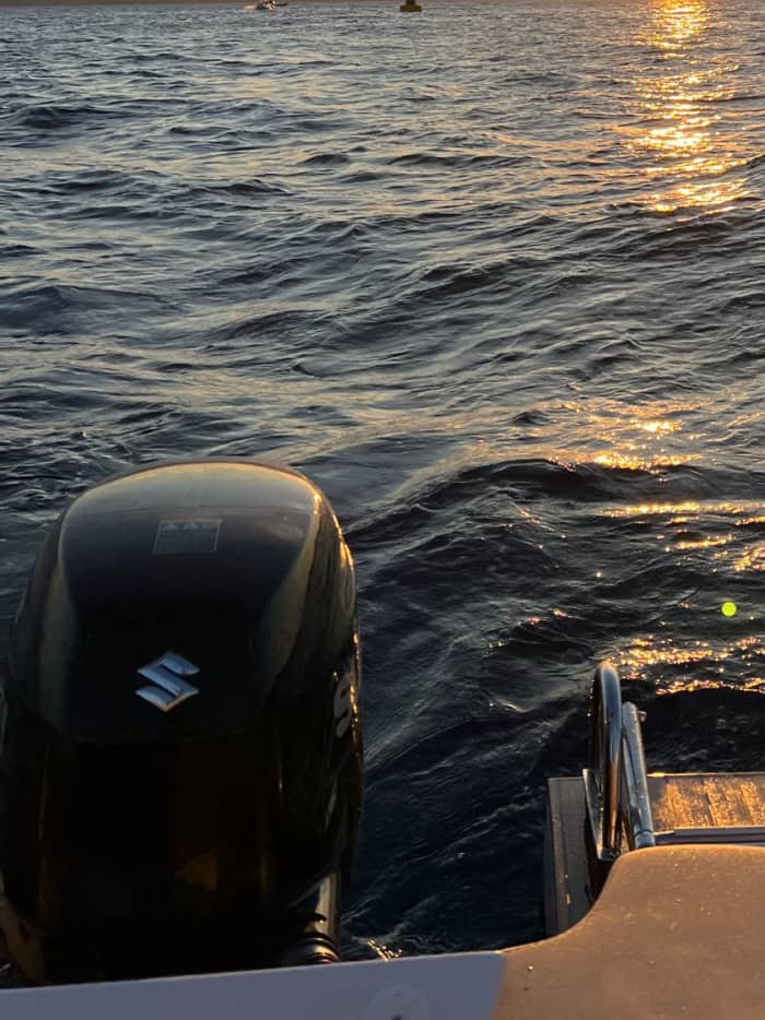 Sonnenuntergangstour: Magie und Delfine bei Sonnenuntergang ab Marina di Olbia