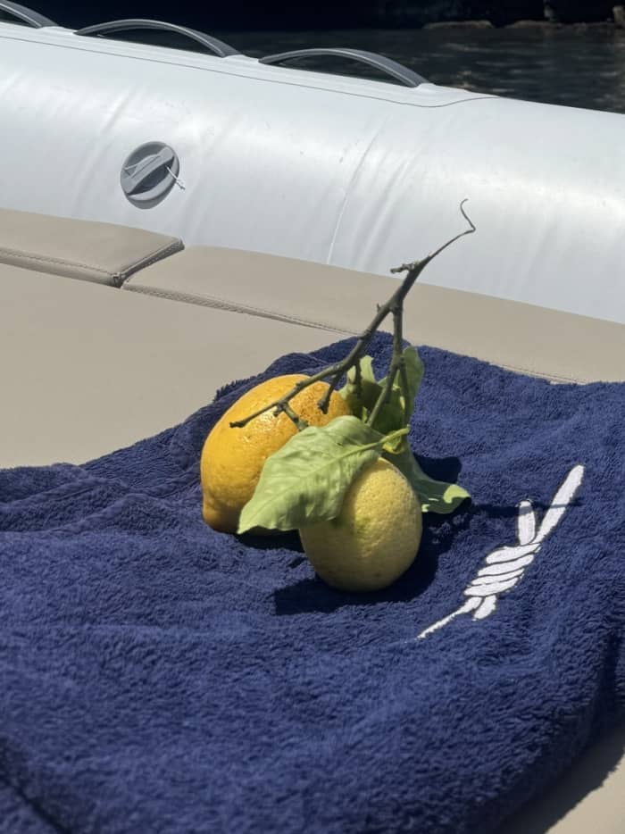 Ontdek Santa Margherita Ligure in één dag: het ware Dolce Vita op een motorboot.