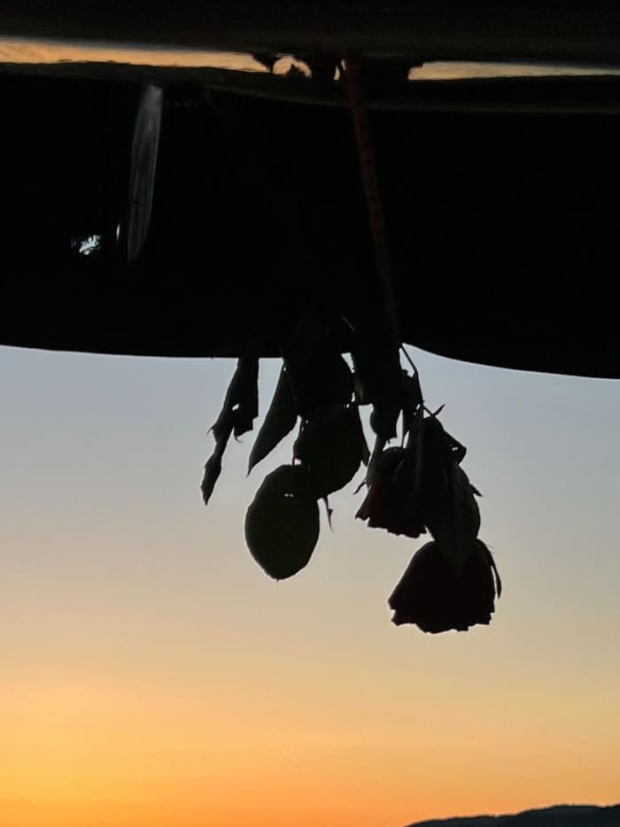 Sonnenuntergang – Abenderlebnis am Zürichsee