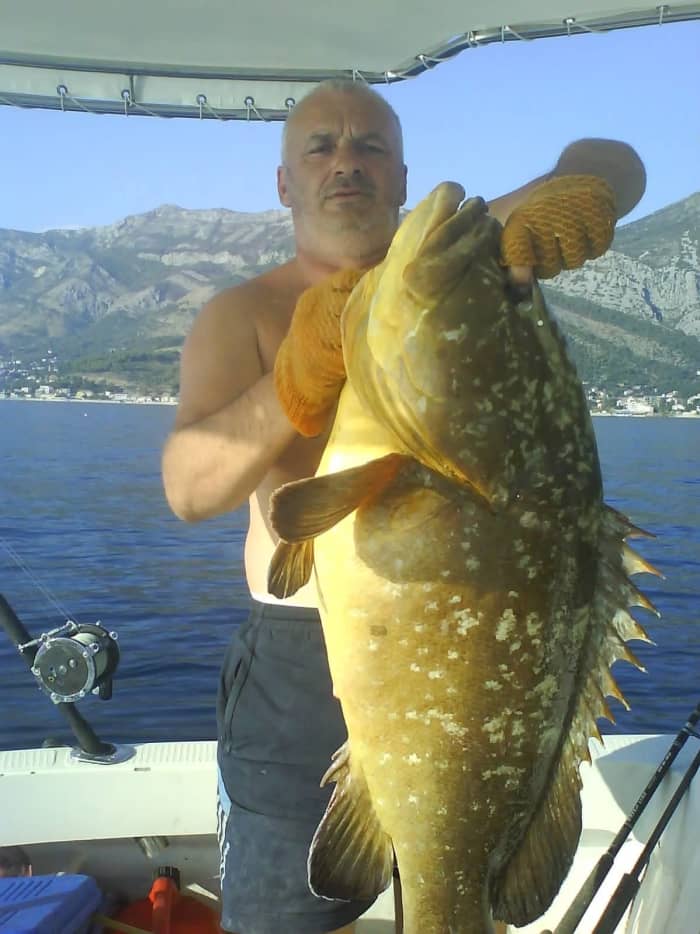 Escapade de pêche d'une demi-journée au bar Luka