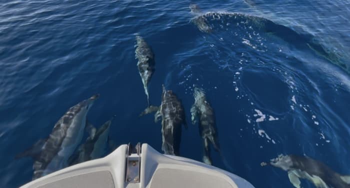 Zephyr van de Egadi: 9 uur lang de wonderen van Favignana en Levanzo ontdekken
