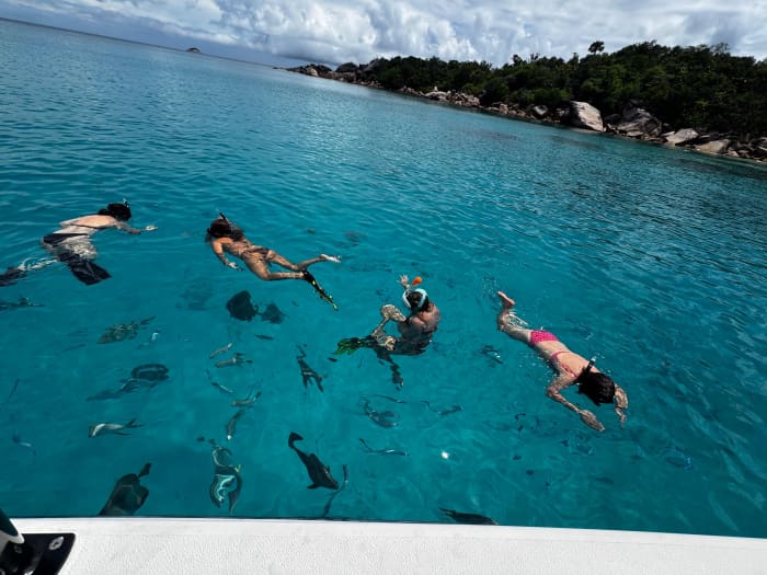 4-uur durende snorkeltocht – zwemmen met schildpadden en roggen op de Seychellen