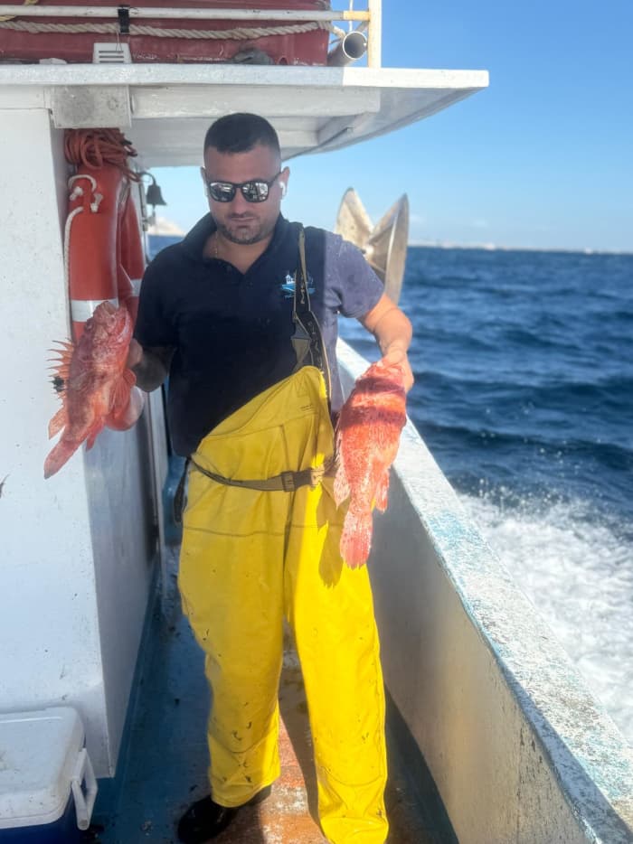 Båtfiske i Cagliaribukten