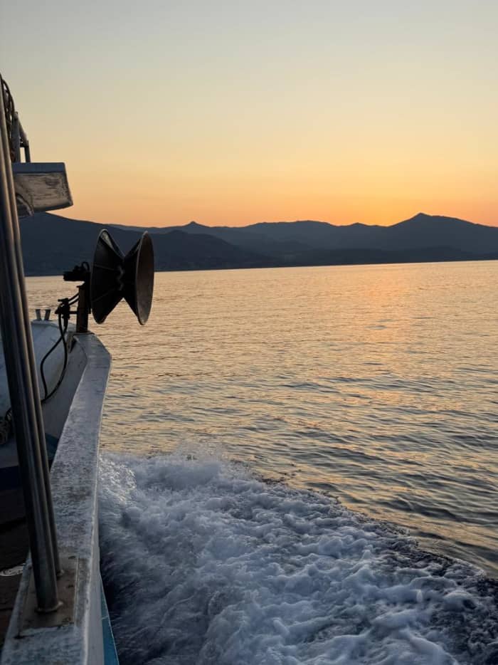 Båtfiske i Cagliaribukten
