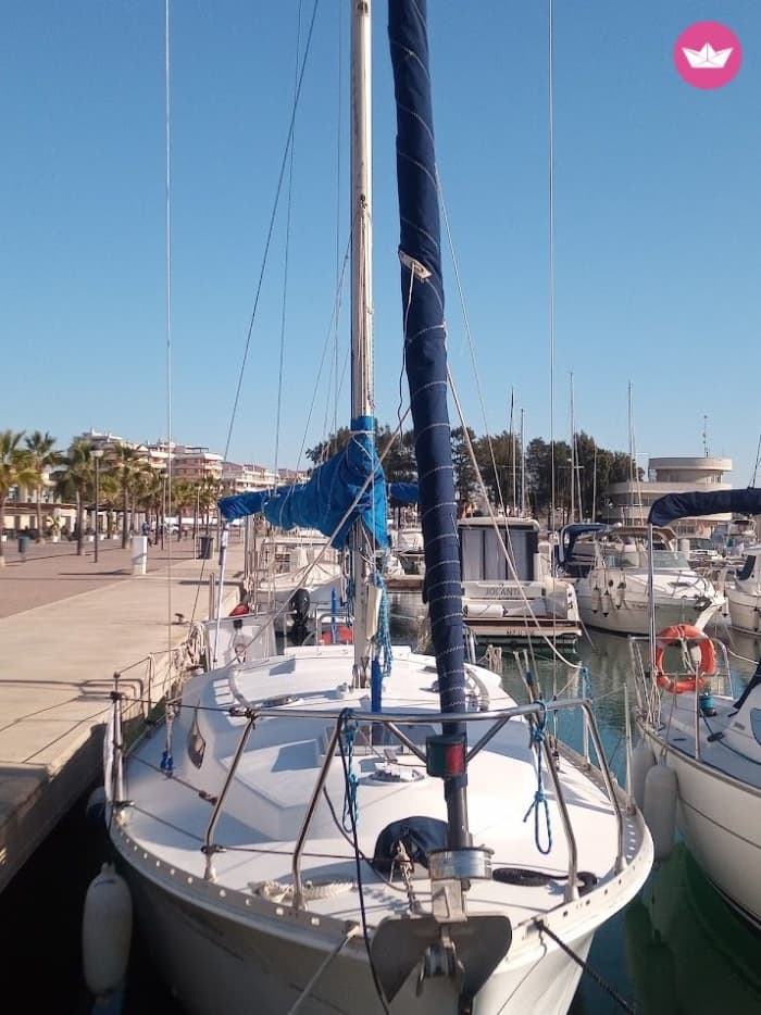 Don't Just See the Coast—Sail It! An Unforgettable Morning Charter.