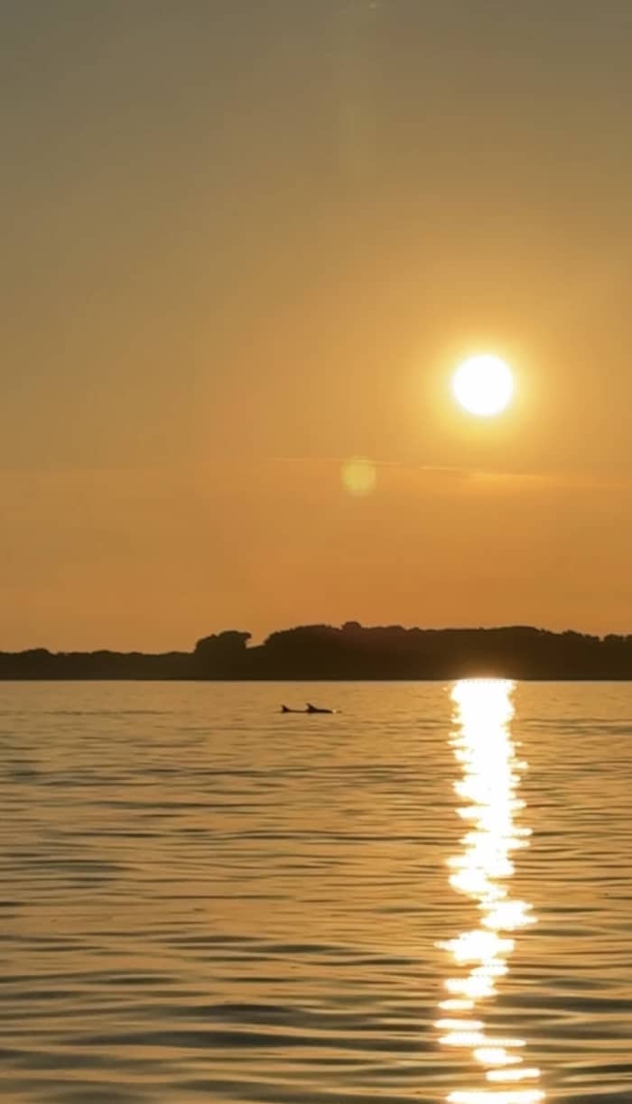 DOLPHIN WATCHING SUNSET PRIVATE BOAT TOUR FROM PULA