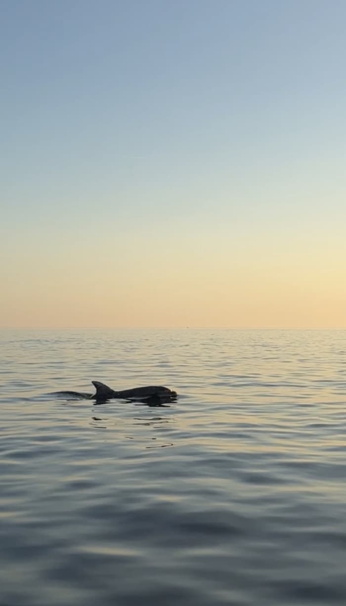 LUXORY YACHT ESCAPE AROUND ISTRIA - full day tour