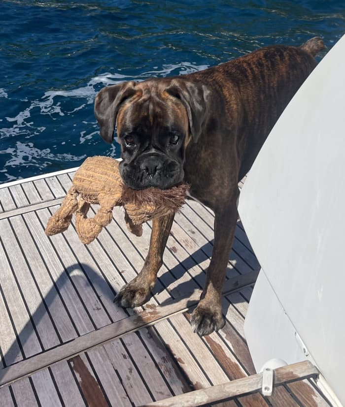 Une journée à Saint-Mandrier-sur-Mer en bateau à moteur