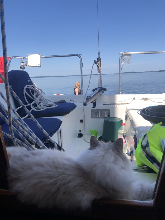 El ritmo de Bromma: Momentos inolvidables en un velero.
