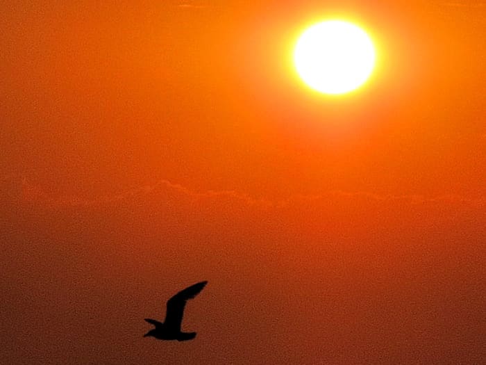 Geniet van een serene zonsopgang en een ontbijt aan zee in Barcelona.