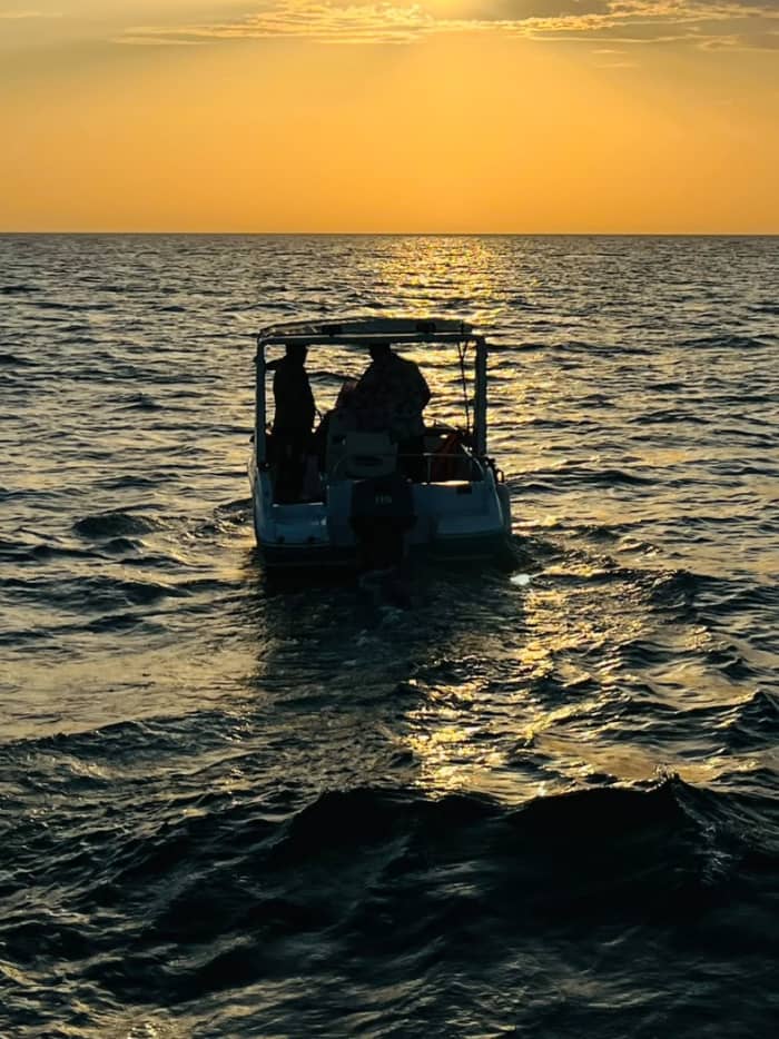 Private boat Tour with Dolphin Watching & Swimming escape