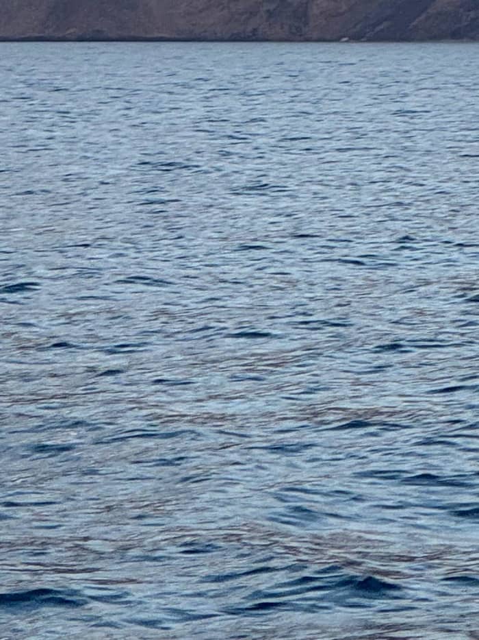 Private Stromboli-Tour + Sonnenuntergangseruption mit 10 Meter langem Intrepido-Beiboot (2023)