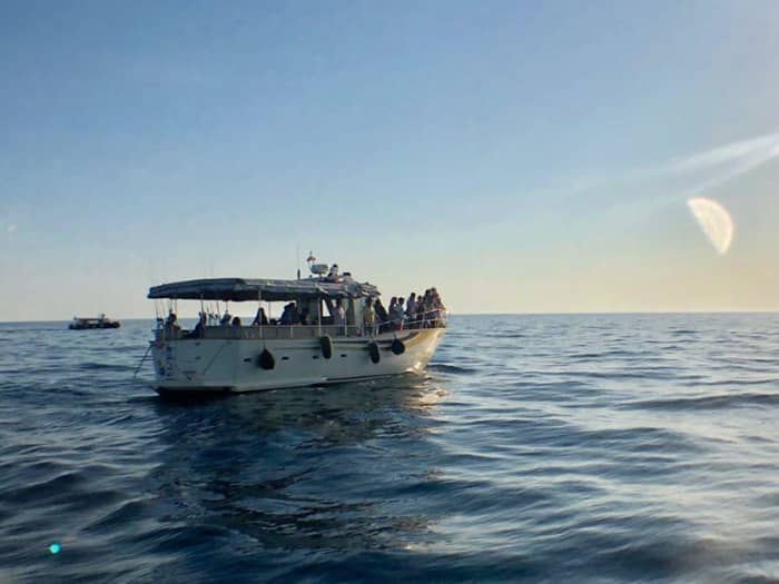 Full-Day Adriatic Adventure with Dolphins – 8 Hours