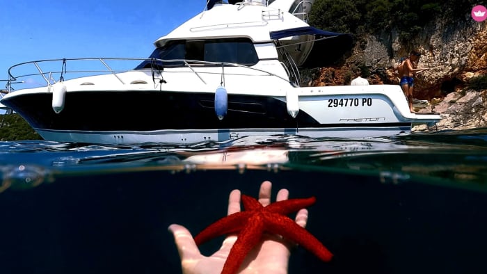 Paseo en barco de 7 horas: Bahía de Lim, Rovinj y experiencia en las islas