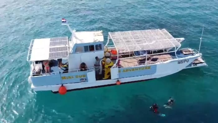 Expérience de plongée en apnée de 3 heures au cap Kamenjak