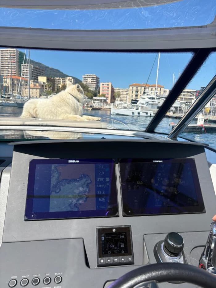 Take 9h to discover the hidden magic of Ajaccio from the waves