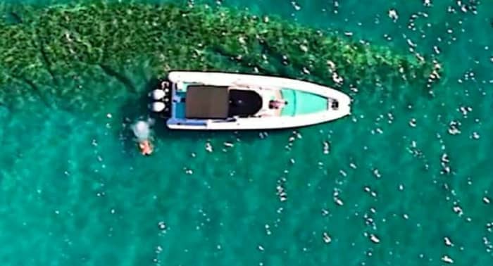 Full day tour around Limassol