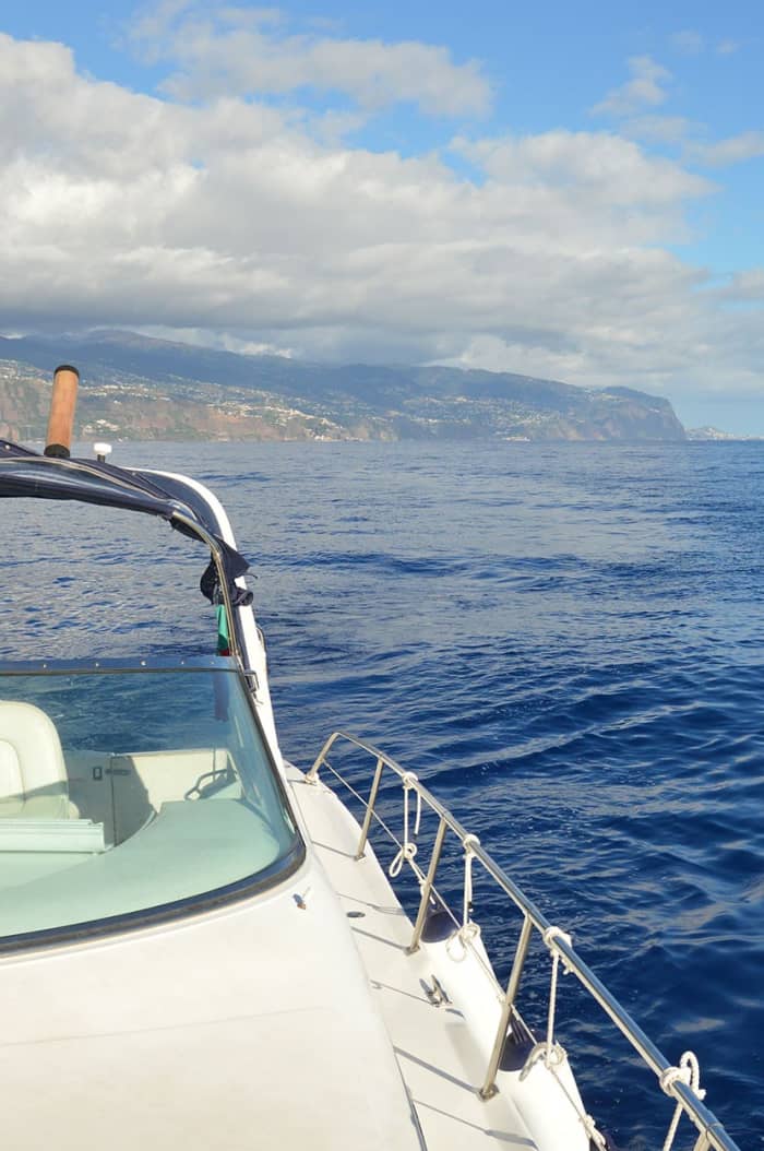 I tesori dell'oceano di Madeira: tour privato di 4 ore