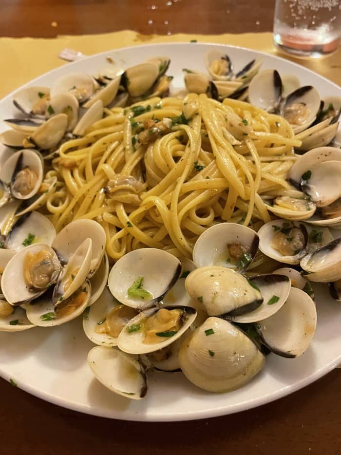 Parenthèse méditerranéenne : demi-journée en mer à Saint-Tropez