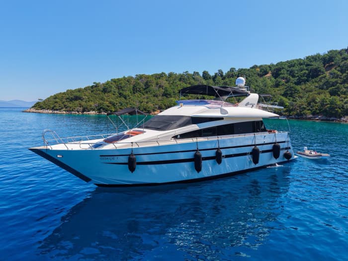 Celebration Cruise Experience