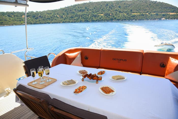 Celebration Cruise Experience