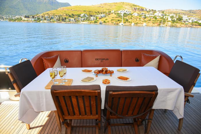 Celebration Cruise Experience