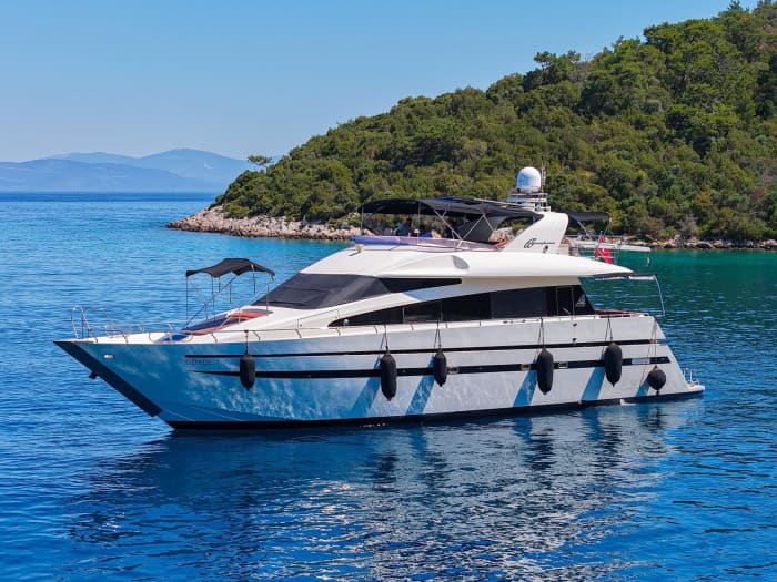 Celebration Cruise Experience