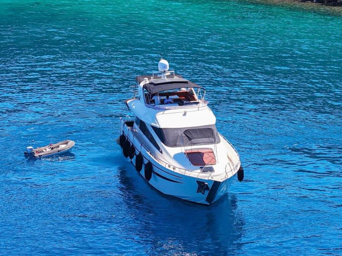 Celebration Cruise Experience