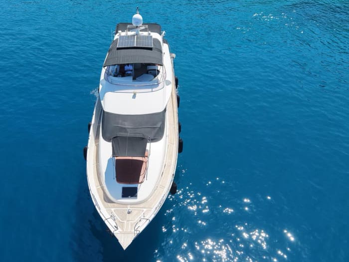 Celebration Cruise Experience