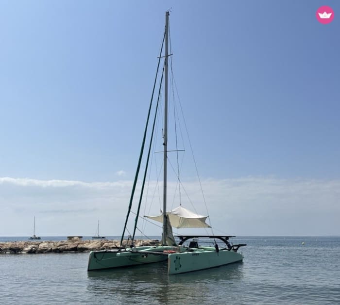 Paraíso ecológico para grupos: este passeio de catamarã sustentável de 3 horas por Málaga é pura felicidade mediterrânea!