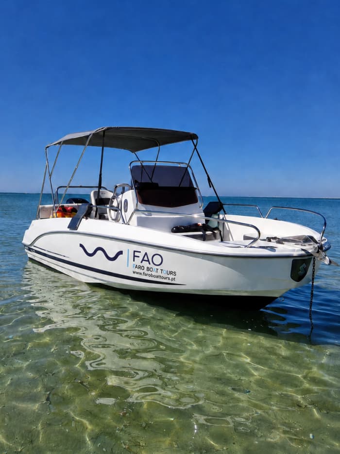 L'aventure de 7 heures à Ria Formosa au départ de Faro que vous n'oublierez jamais