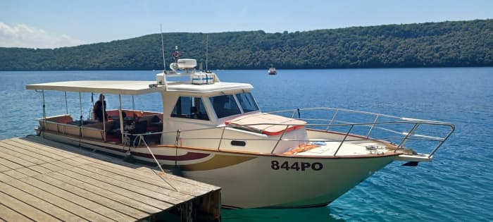 8-Hour Private Boat Trip with Dolphin Watching