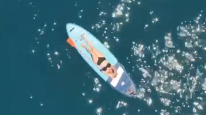 Mediterranean Queen 25 Person