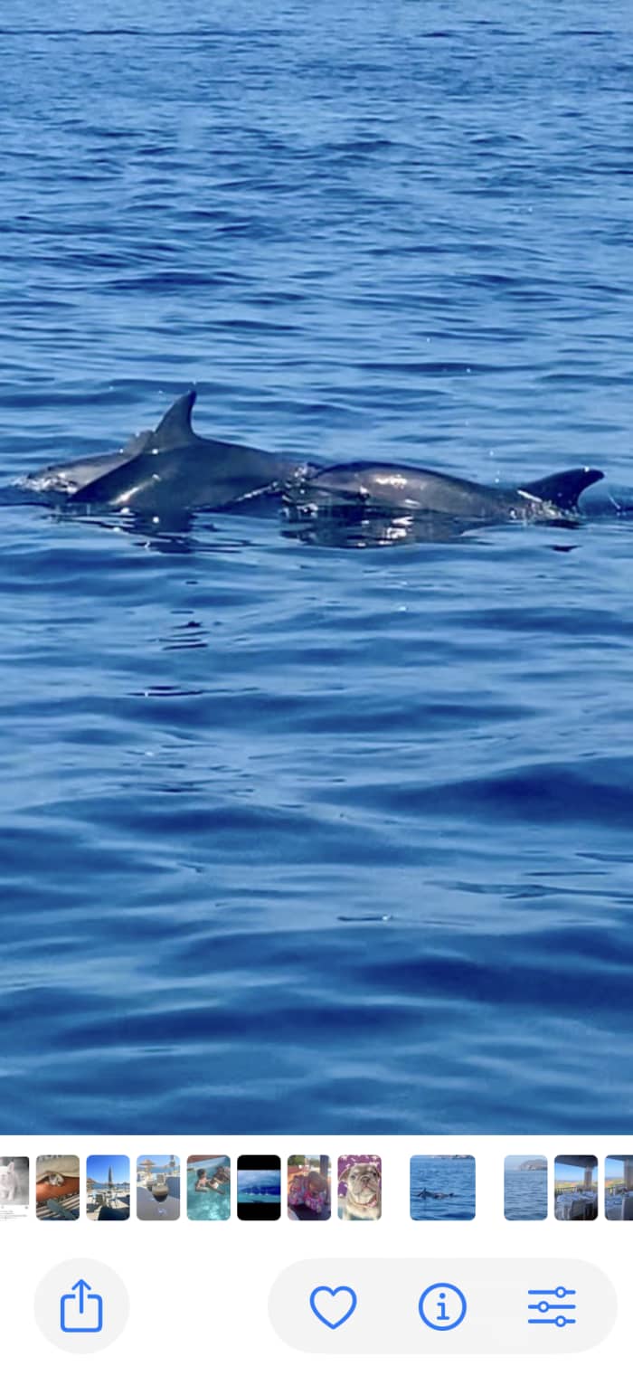 A day in the Stintino area: enjoy 6.5 hours of exploration aboard a 14-meter motorboat