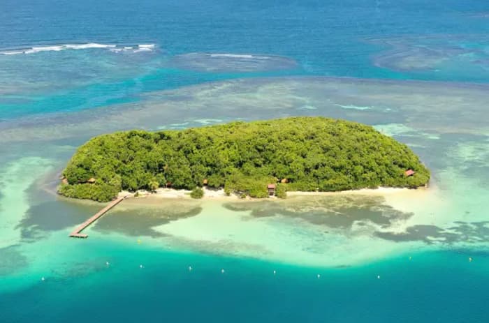 Visita aos bancos de areia branca da Baía de Robert