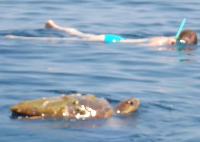 Day Cruise to Kefalonia or Ithaca